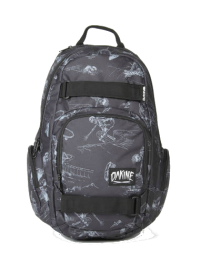 Рюкзак DAKINE ATLAS 25L GRAVESIDE